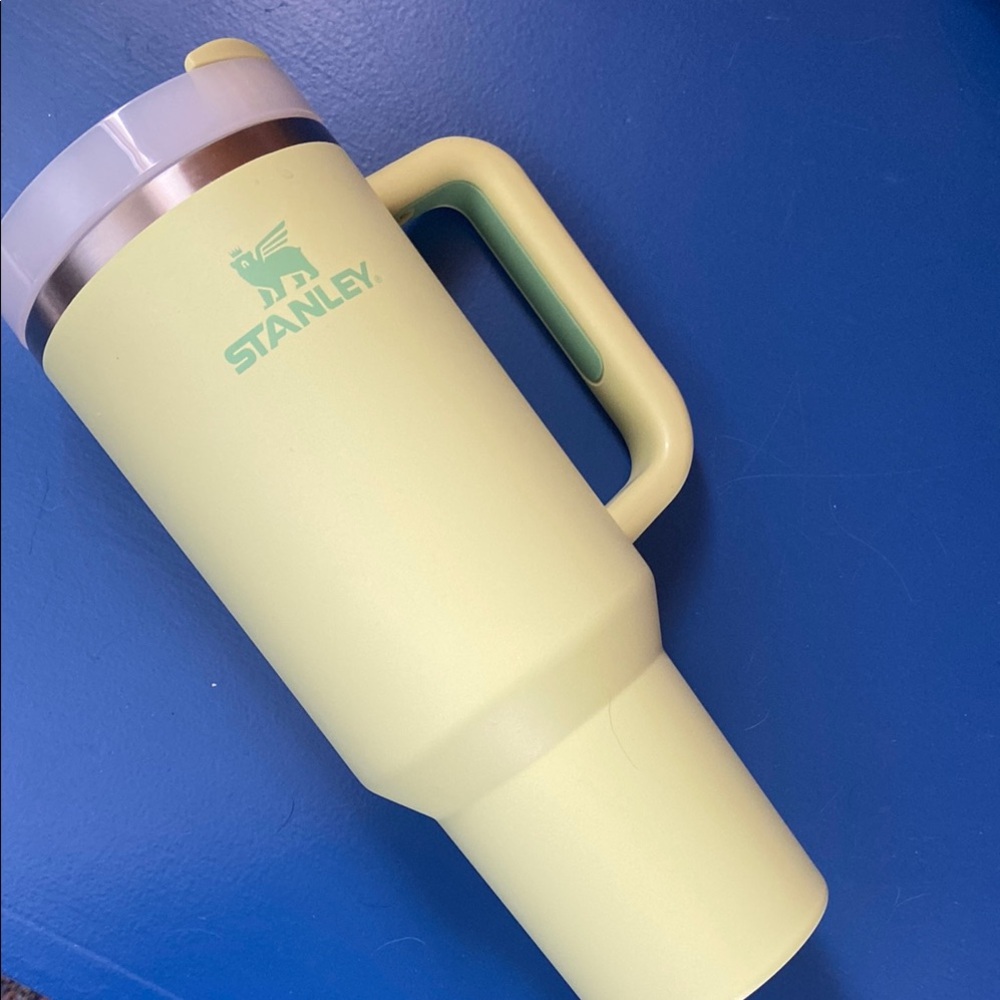 THE QUENCHER H2.0 FLOWSTATE TUMBLER 40 OZ Stanley Light Green Insulated Mug